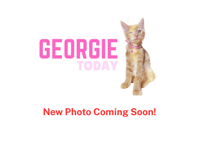 Georgie with Georgie the new cat