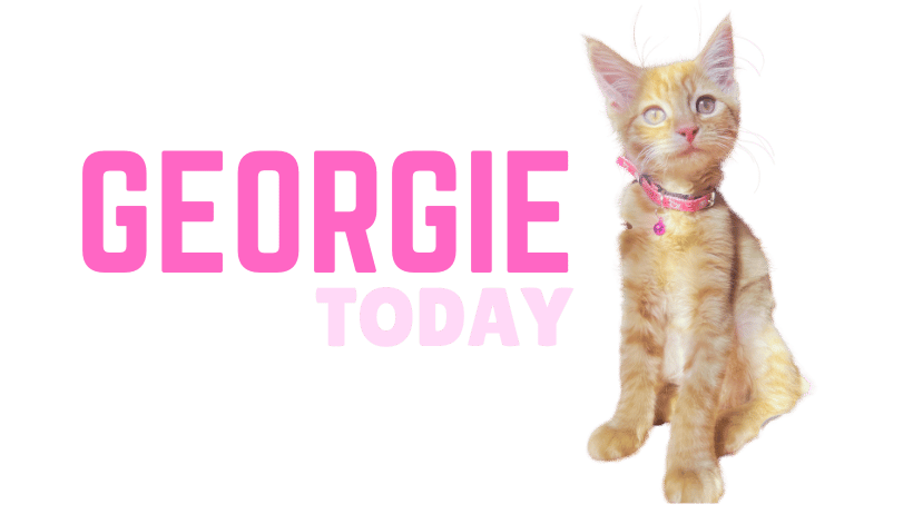 Georgie TODAY Logo